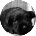 Florencia Parrotta profile picture